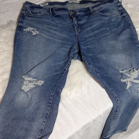 torrid Denim - Torrid Mid rise Skinny Jeans 24S